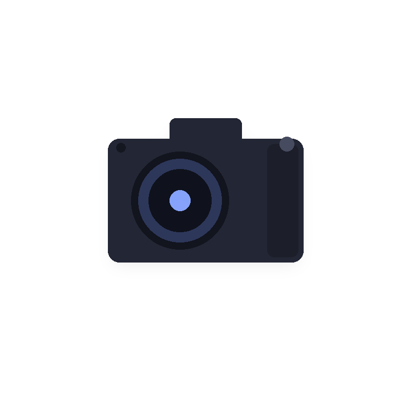 Mirrorless Camera X100